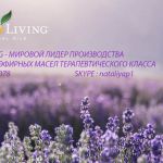 Эфирные масла Young Living, высочайшее качество