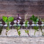 Эфирные масла Young Living, высочайшее качество