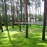 Новый особняк 650 м2 с соснами. Романков. Без комиссии