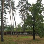 Продажа нового особняка 660 м2 с соснами. Романков