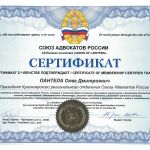 Защита по уголовным делам, адвокат Красноярск