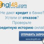 Проверить кредитную историю недорого