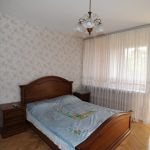 Сдаю 1к. квартиру в центре сочи