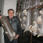 Мицелий грибов, субстраты, грибоводство, отправка почтой