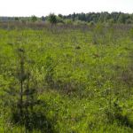Участок сельхозка близи д. красногор переславский район