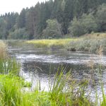 Участок сельхозка близи д. красногор переславский район