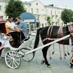 Свадебная видеосъёмка